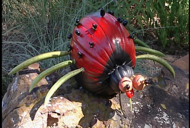Jack-'o-lantern design from the garden Jack-'o-lantern design from the garden