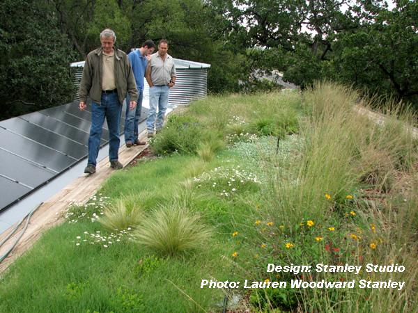 Lauren Woodward Stanely green roof Austin Texas