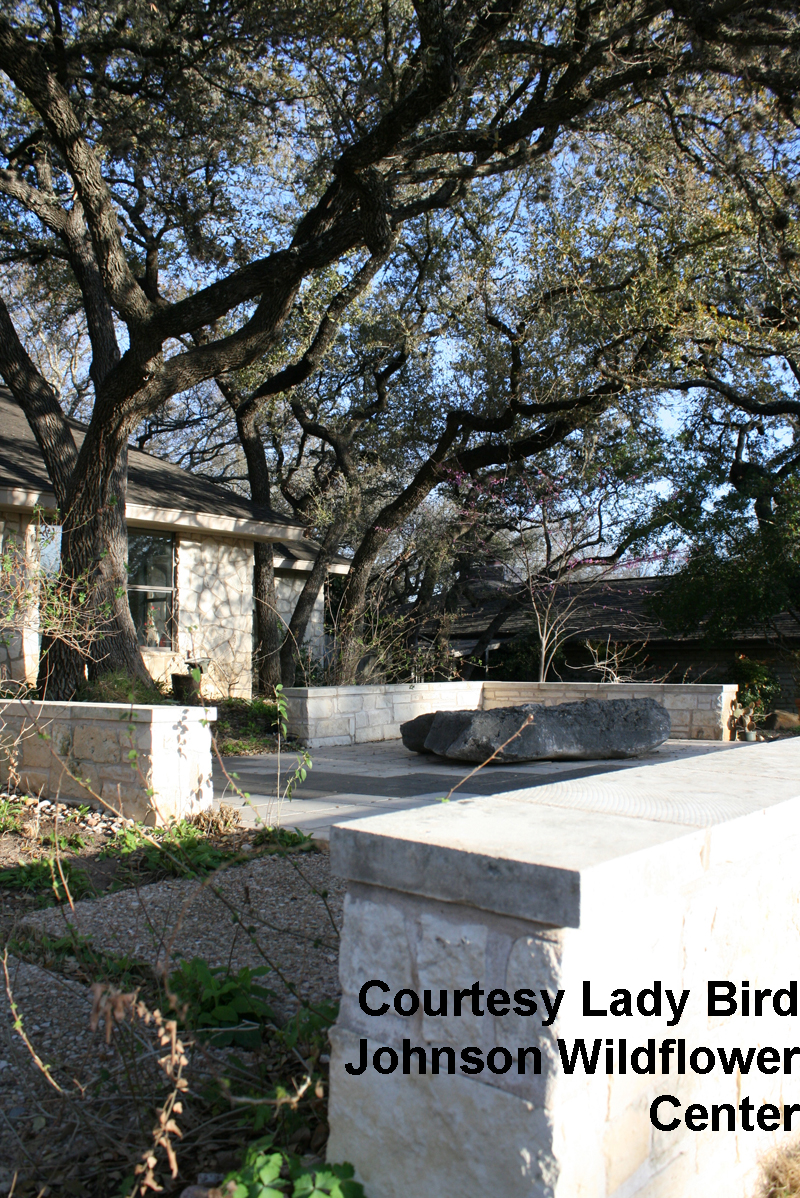 Lady Bird Johnson Wildflower Center Gardens on Tour