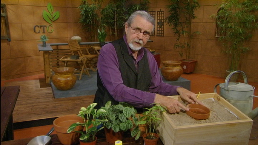 John Dromgoole propagates plants for propagation box