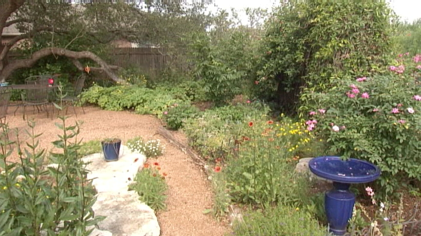 native plant garden design Central Texas Gardener 