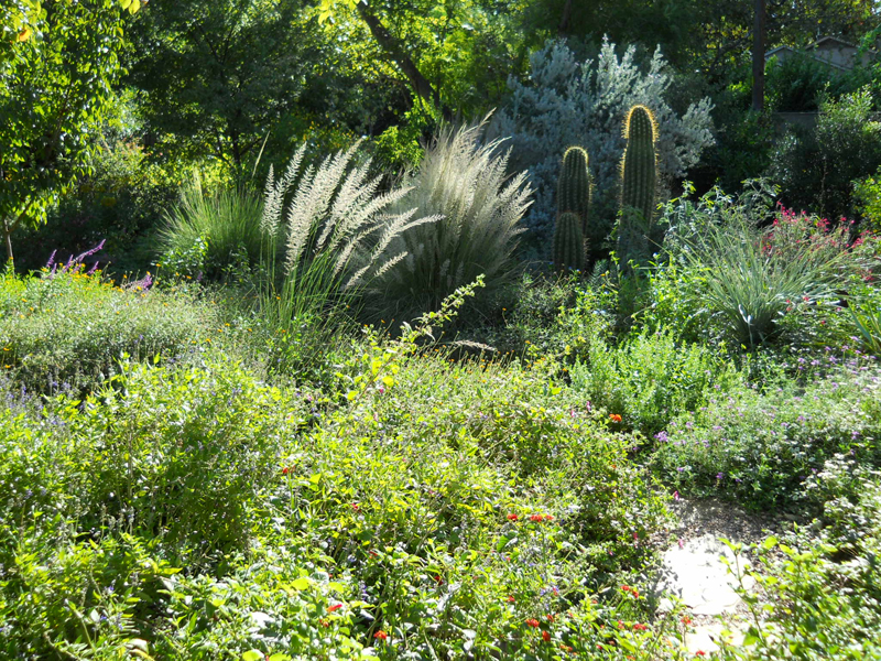 Native garden design Austin Texas Central Texas Gardener 