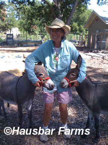 Dorsey Barger Hausbar Farms with donkeys