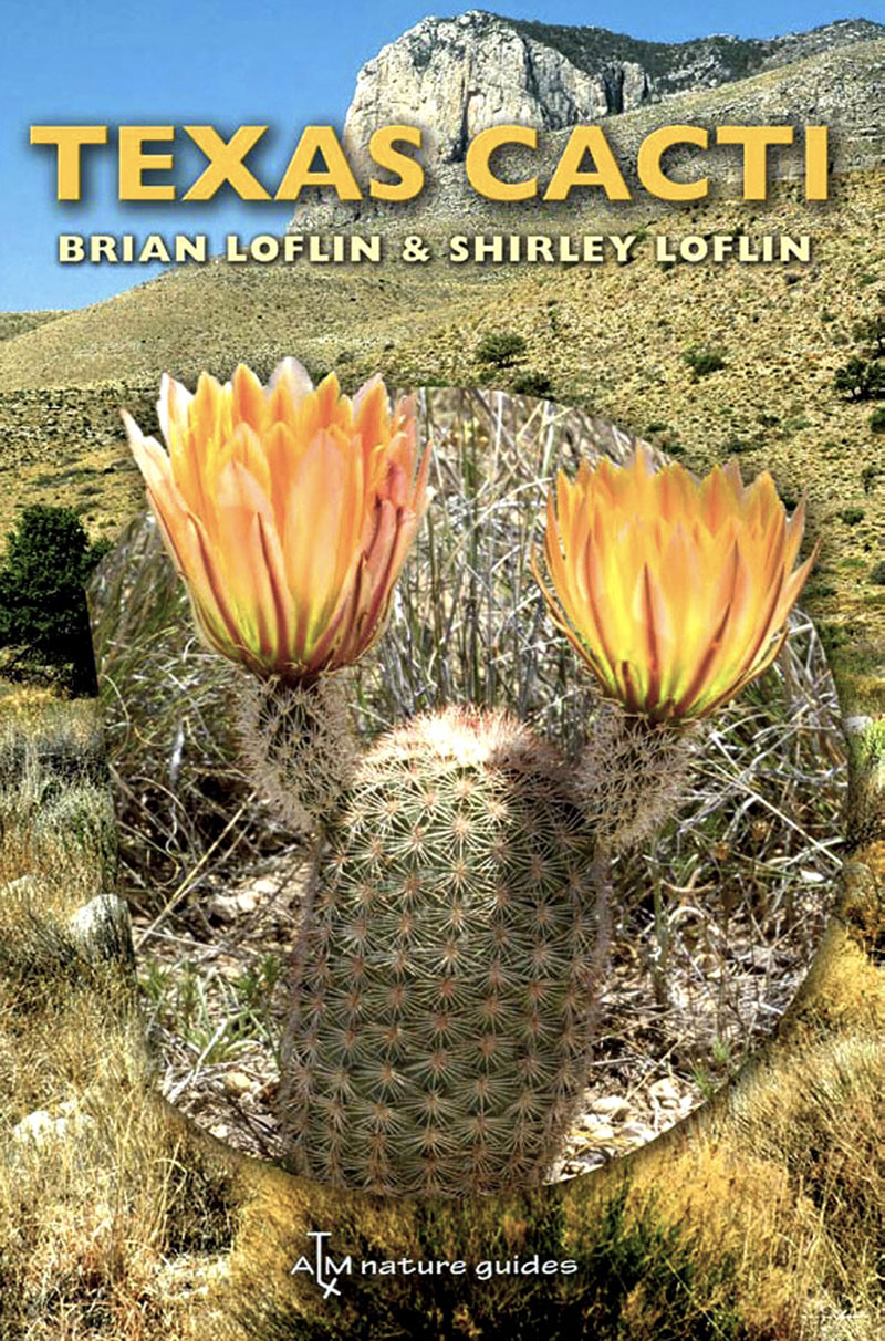 Texas Cacti Brian and Shirley Loflin 