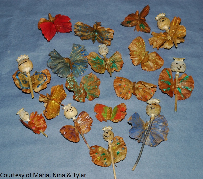 butterfly vine crafts for kids