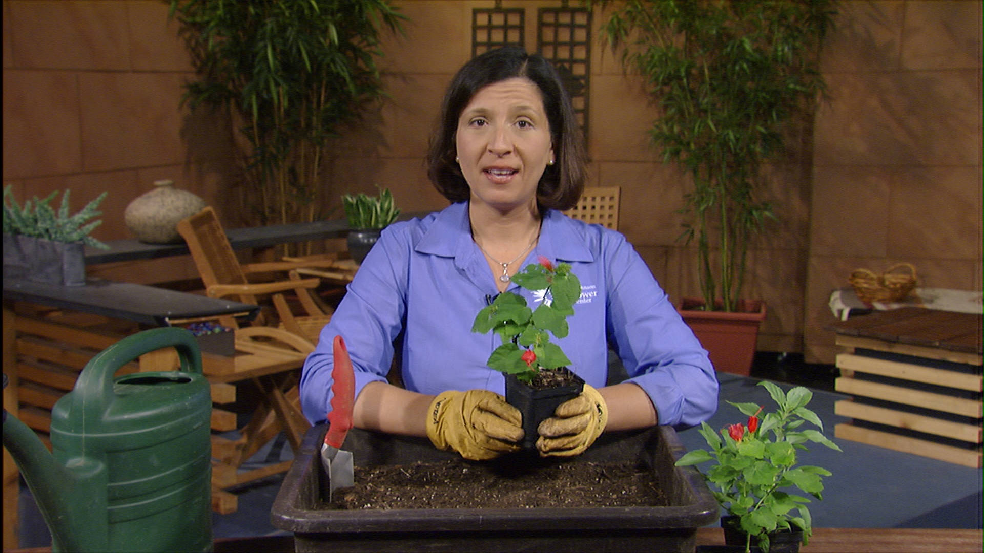 Andrea DeLong-Amaya shows how to plant