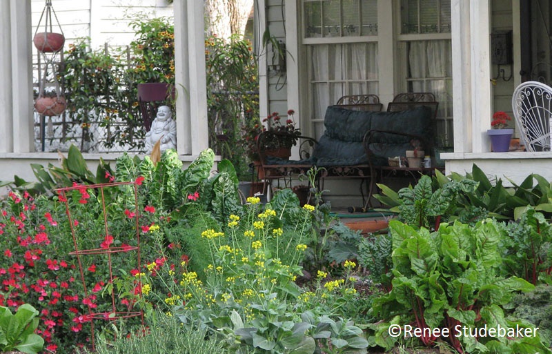 Renee Studebaker's front yard garden