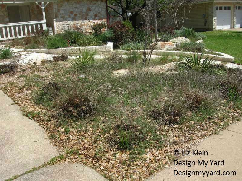 Liz Klein Design My Yard ridding Bermuda grass
