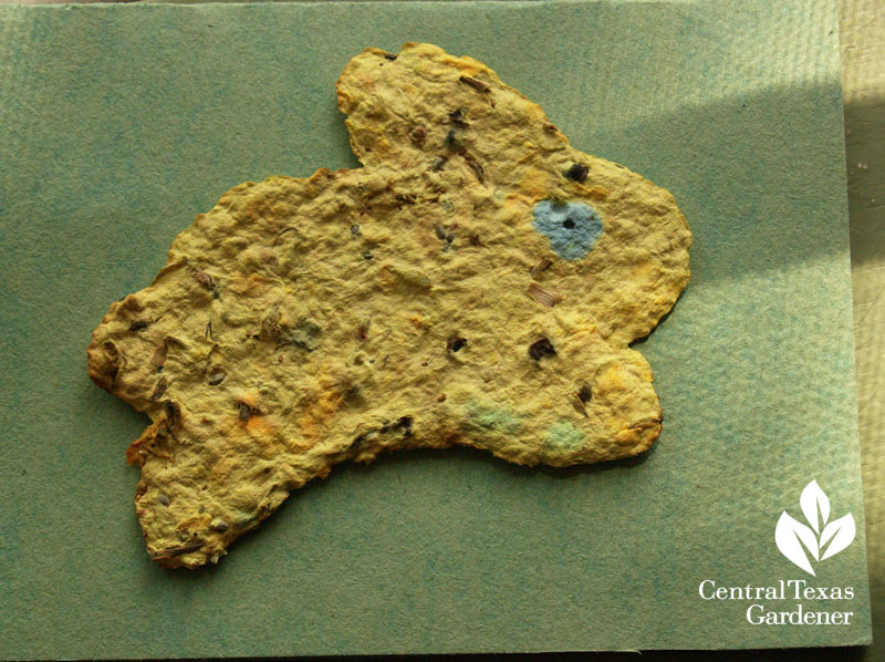 homemade wildflower seed bunny card Meredith O'Reilly Great Stems homemade bunny wildflower seed card Meredith O'Reilly Great Stems
