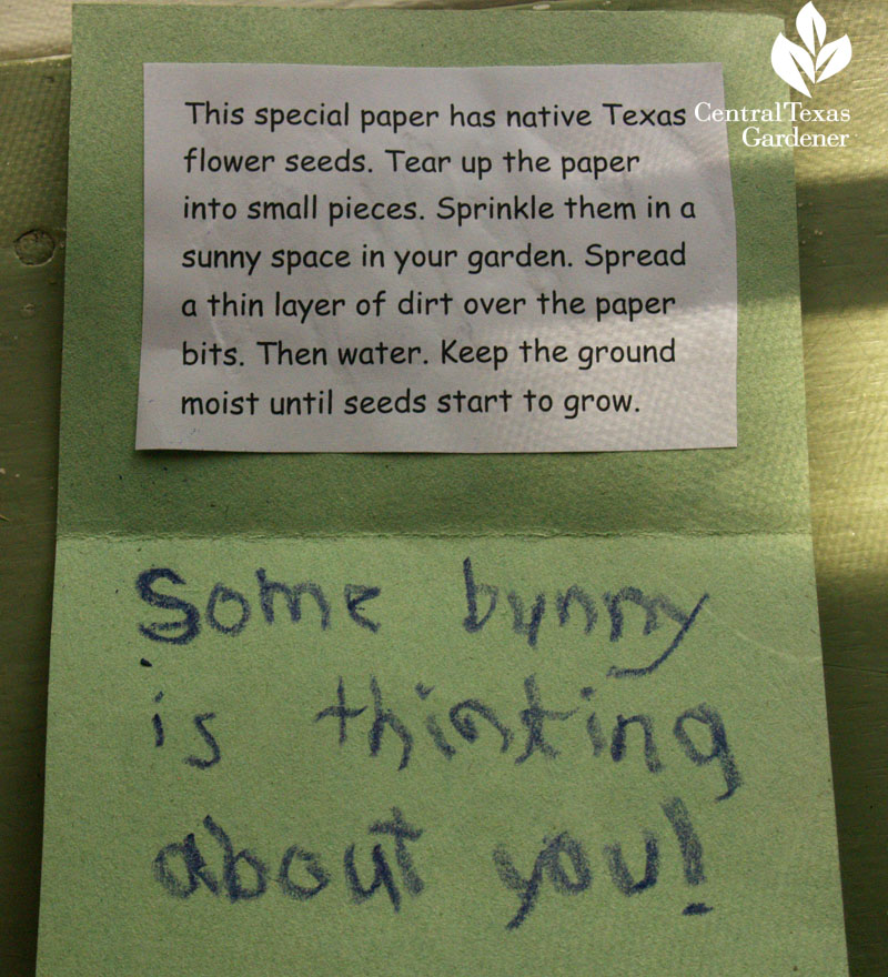 wildflower seed bunny card Meredith O'Reilly Great Stems wildflower seed bunny card Meredith O'Reilly Great Stems