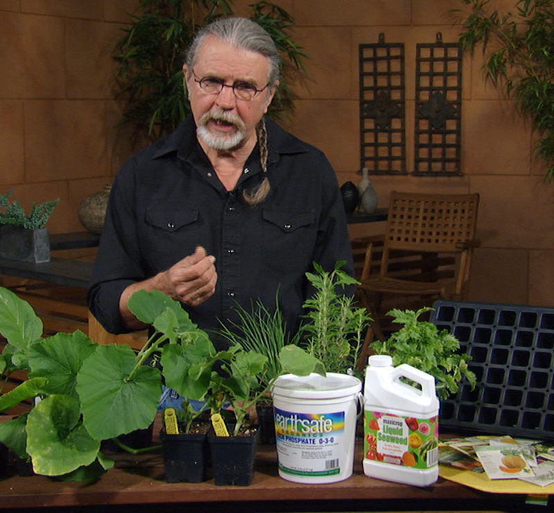 John Dromgoole plants summer to fall vegetables seed trays 