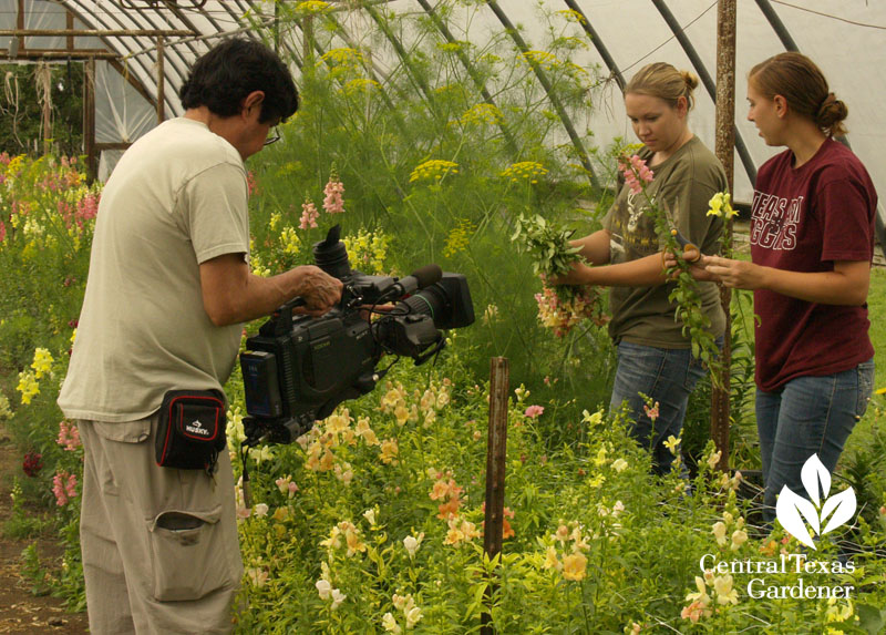 KLRU taping at Cuts of Color flower farm 