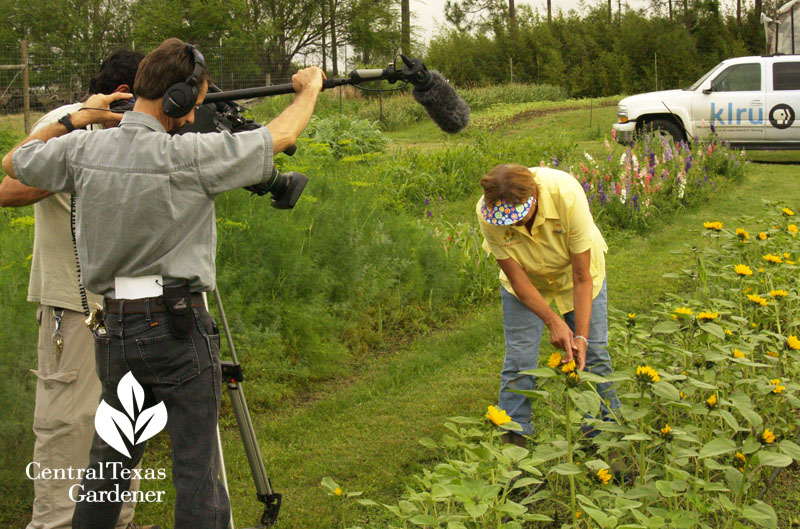 KLRU taping Rita Anders Cuts of Color flower farm 