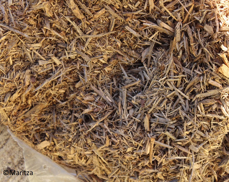 Moldy mulch Central Texas Gardener Moldy mulch Central Texas Gardene