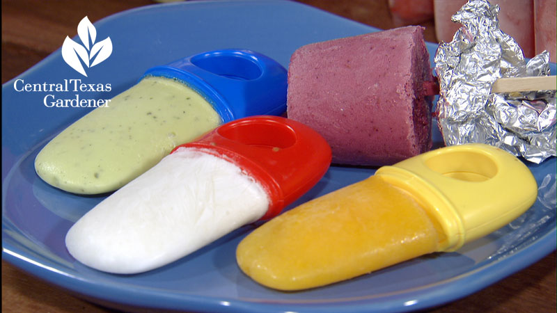 homemade popsicles Trisha Shirey Central Texas Gardener 