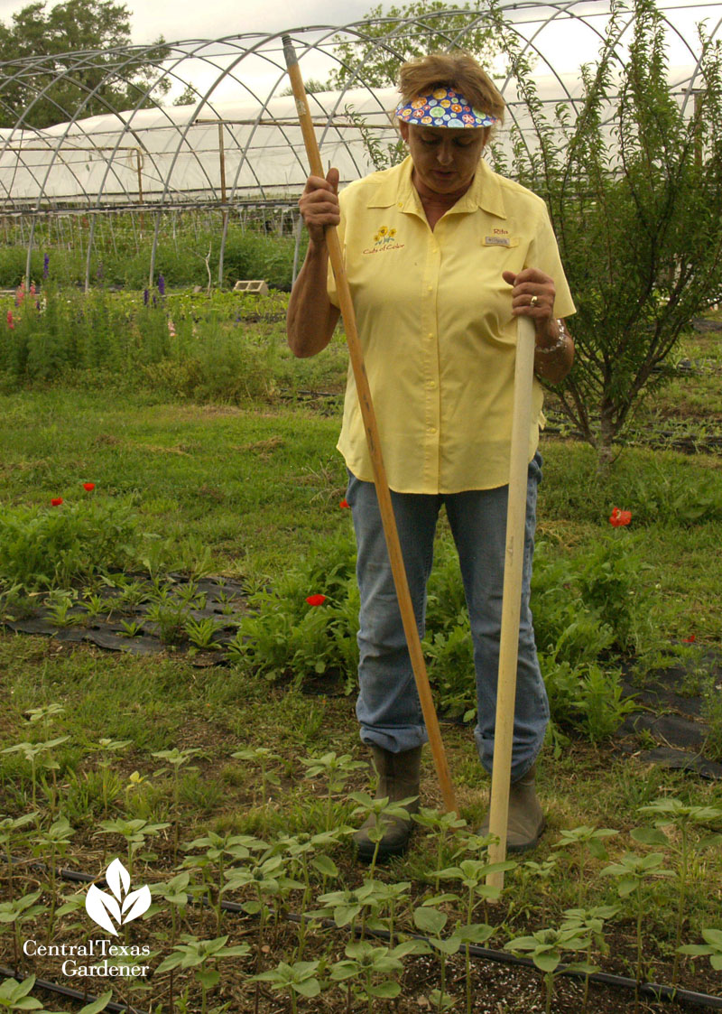 Rita Anders' seed planting trick at Cuts of Color