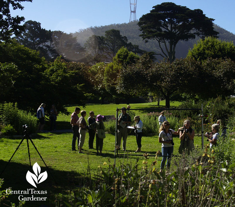 San Franciso Botanical Garden with Saxon Holt