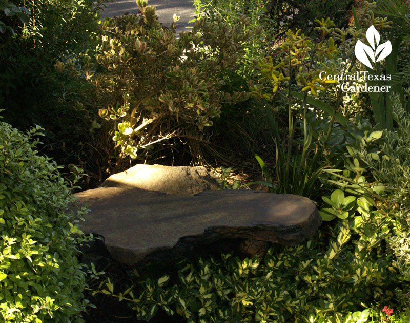 Rebecca Sweet's garden Rebecca Sweet's garden