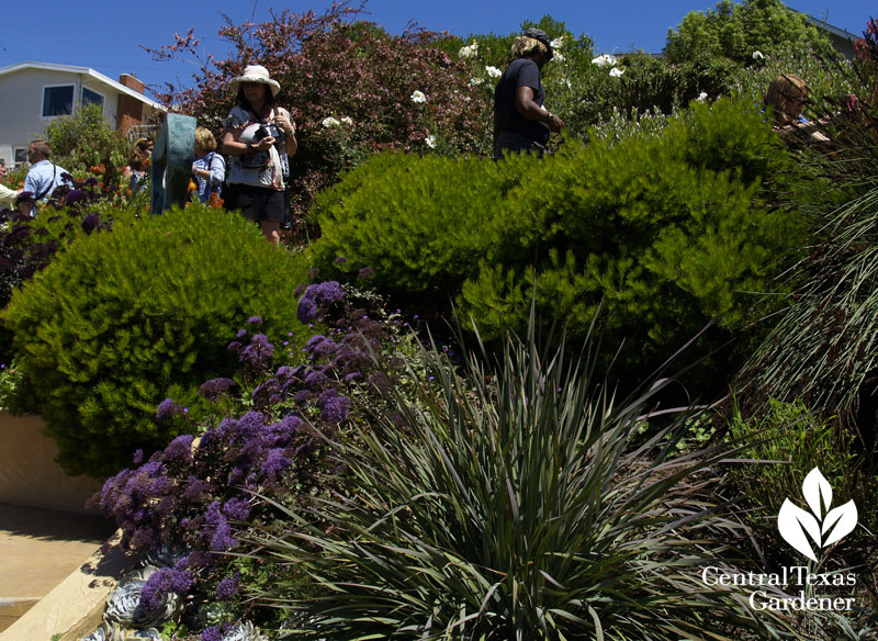 Wave Garden San Francisco Garden Bloggers