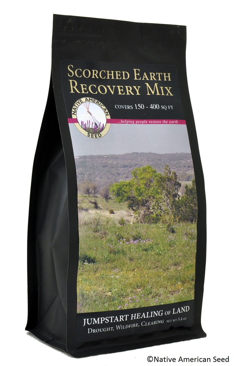 Scorched Earth Recovery Native American Seed Scorched Earth Recovery Native American Seed