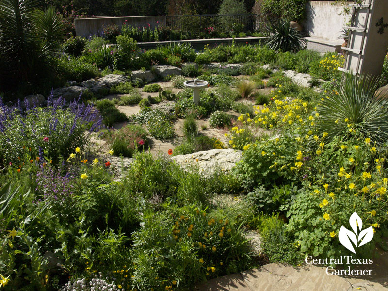 Jennifer and David Stocker garden