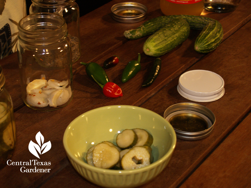 Refrigerator pickles Trisha Shirey for Central Texas Gardener 