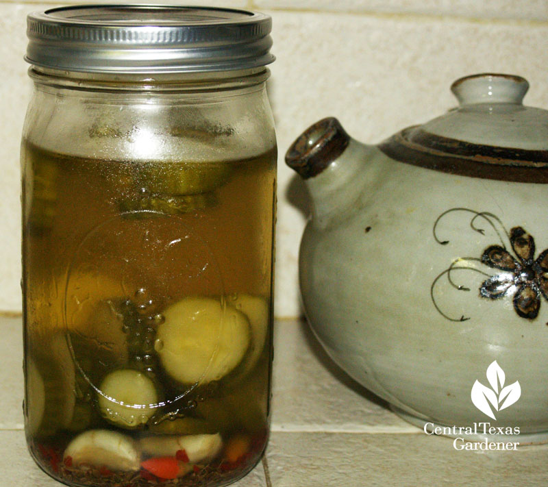 Refrigerator pickles