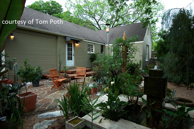 Tom Poth garden