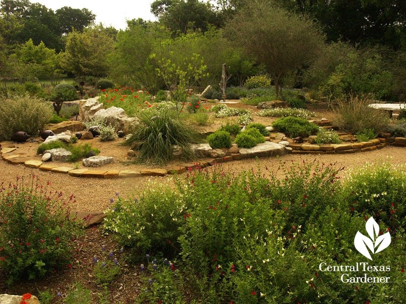 Garden berm with native plants Garden berm with native plants