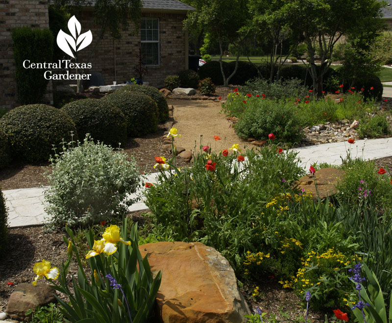 habitat garden Temple Texas front yard 