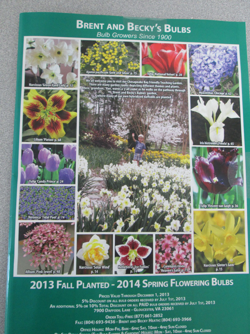 Brent and Becky's Bulbs catalog Brent and Becky's Bulbs catalog