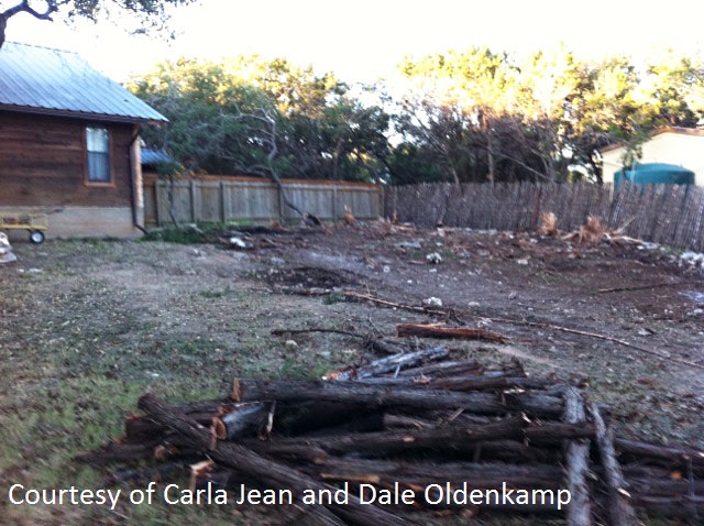 Carla Jean Oldenkamp before picture organic garden Carla Jean Oldenkamp before picture organic garden