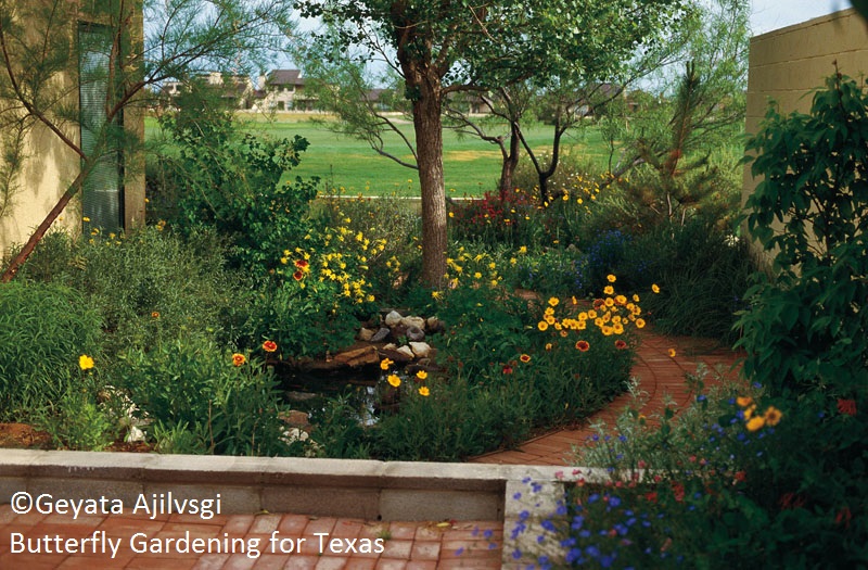 copyright Geyata Ajilvsgi Butterfly Gardening for Texas