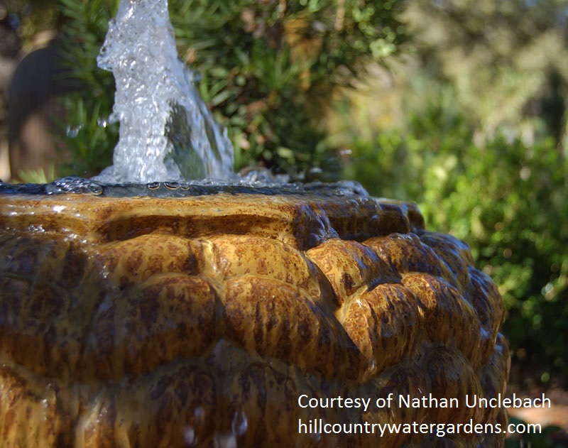 Hill Country Water Gardens & Nursery fountain 