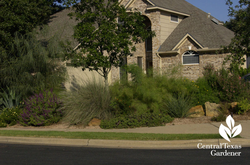 Capitol Landscaping water wise habitat makeover garden