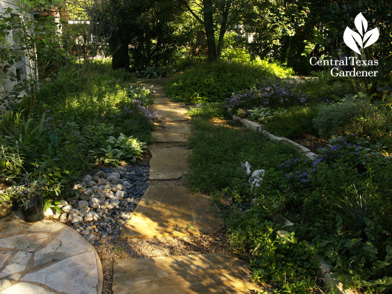 Early morning no lawn path Linda Lehmusvirta Austin garden 