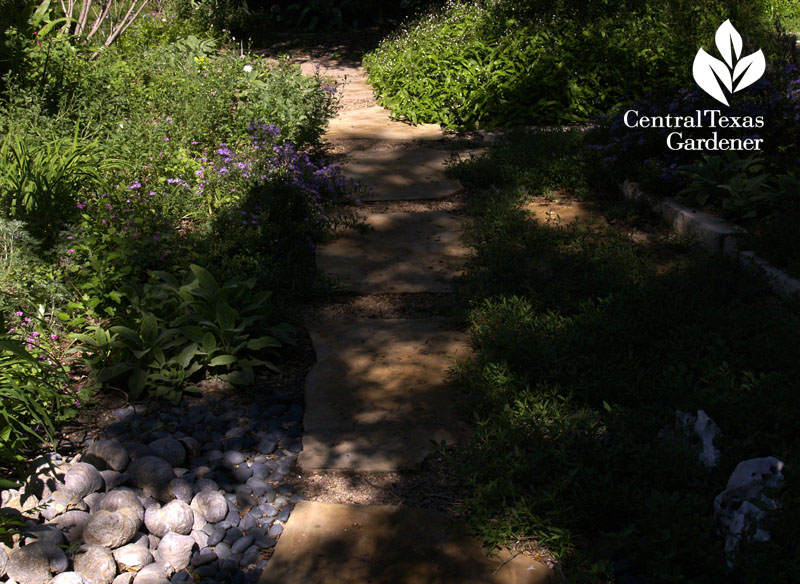 no lawn path and garden austin texas 