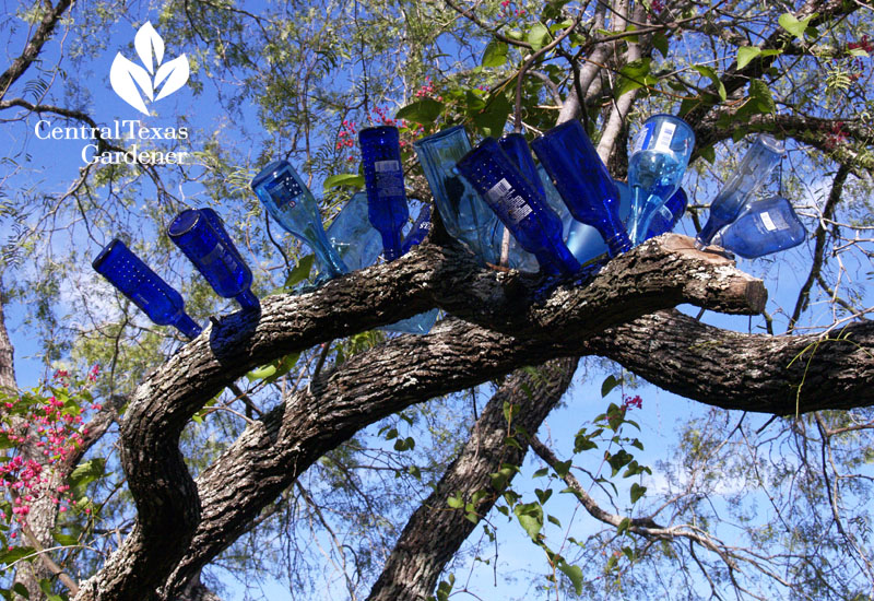 Bottle tree at Garden of Good and Evil 
