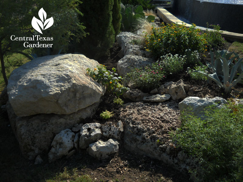 Drought design for Minnesota gardener in Texas