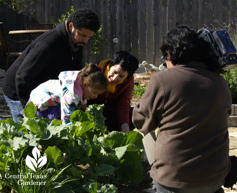 Paredez & Guridy family vegetable garden Central Texas Gardener Paredez & Guridy family vegetable garden Central Texas Gardener