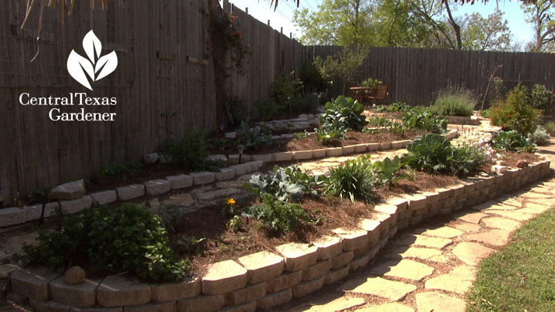 Resolution Gardens after picture no lawn for vegetables