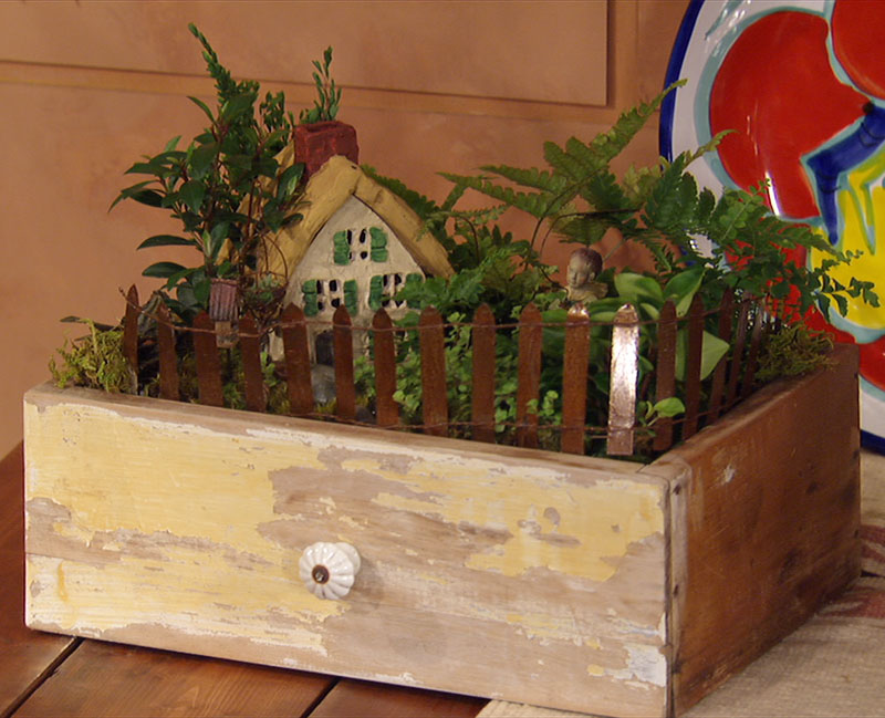 fairy garden in old drawer Bonnie's Greenhouse 