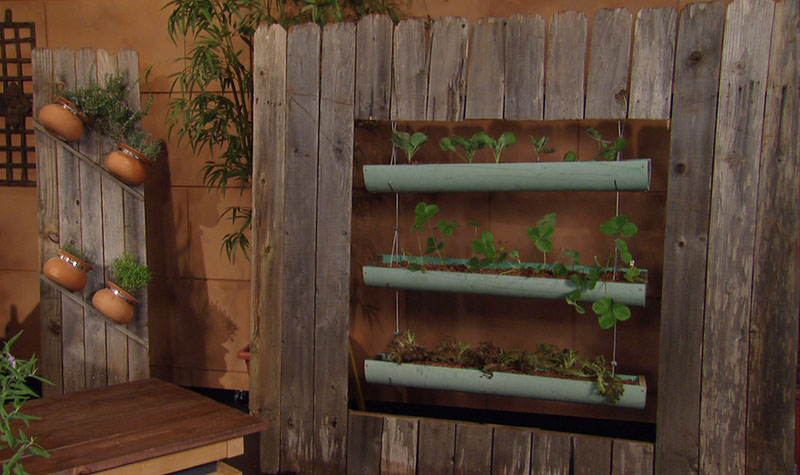 PVC pipe planters Garden-Ville on Central Texas Gardener PVC pipe planters Garden-Ville on Central Texas Gardener