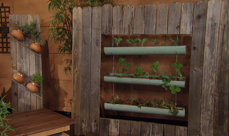 PVC pipe planters Garden-Ville on Central Texas Gardener