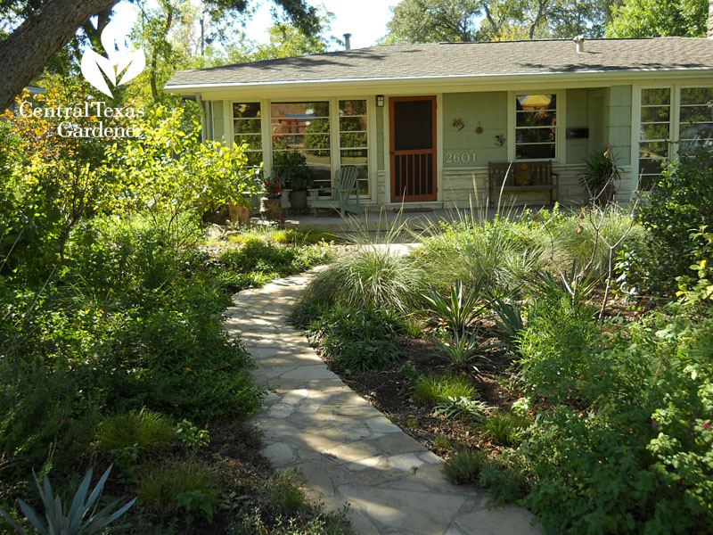 drought tough wildlife garden austin texas CTG