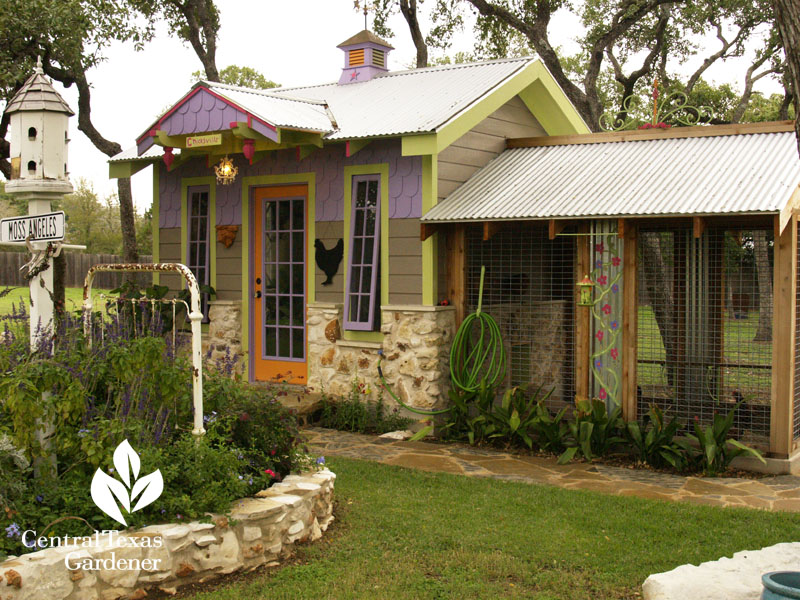 Chicksville chicken coop austin texas 