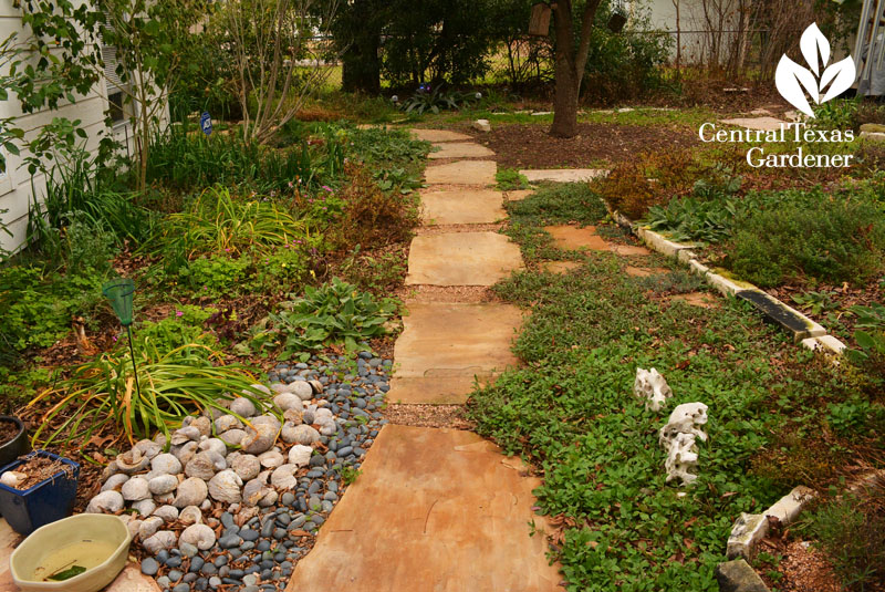 Linda's den garden in winter no lawn 