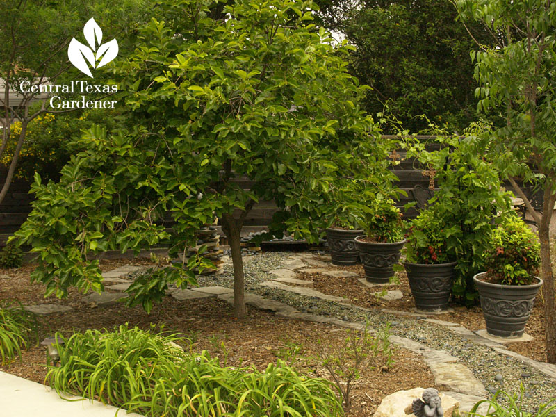 recycled glass dry creek bed Hutto Texas CTG recycled glass dry creek bed Hutto Texas CTG