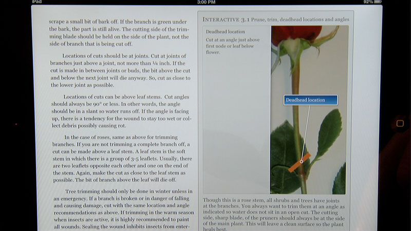 Ginger Hudson's A Guide to Landscape Maintenance for Central Texas Gardens Ginger Hudson's A Guide to Landscape Maintenance for Central Texas Gardens
