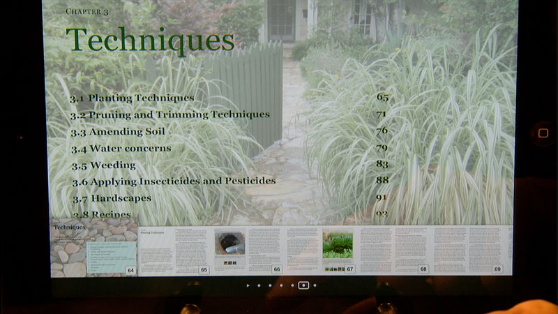 Ginger Hudson's A Guide to Landscape Maintenance for Central Texas Gardens Ginger Hudson's A Guide to Landscape Maintenance for Central Texas Gardens
